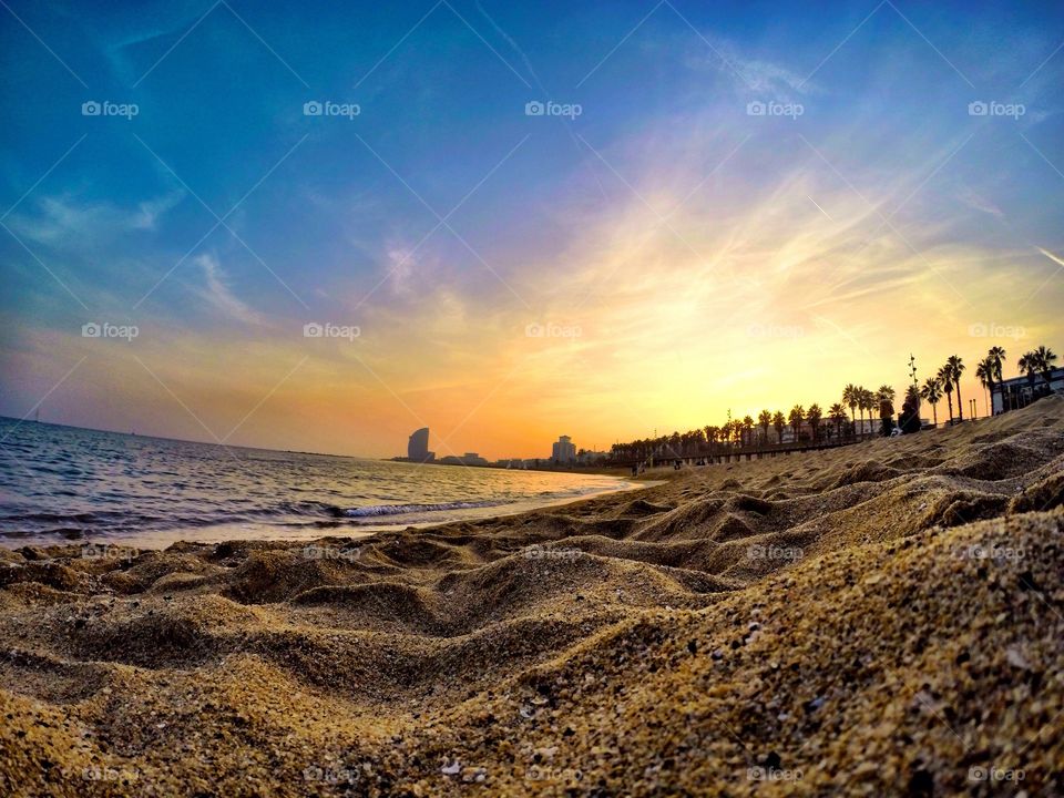 Scenic view of nature