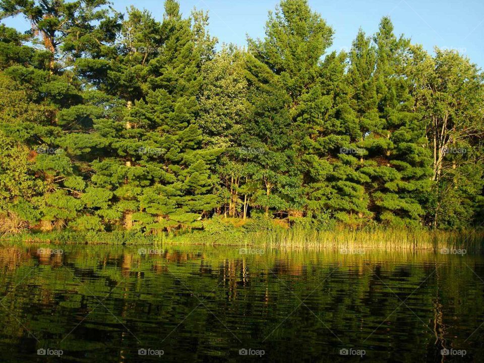 Tranquil reflection on back bay of Lake Ann