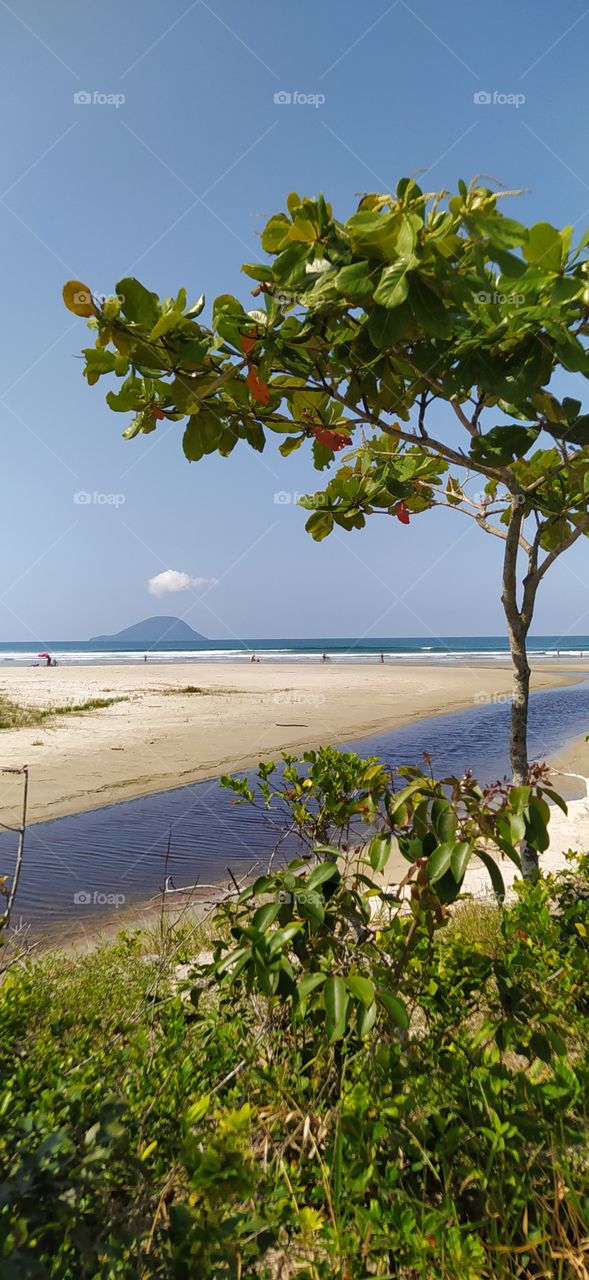 Praia do litoral norte brasileiro.