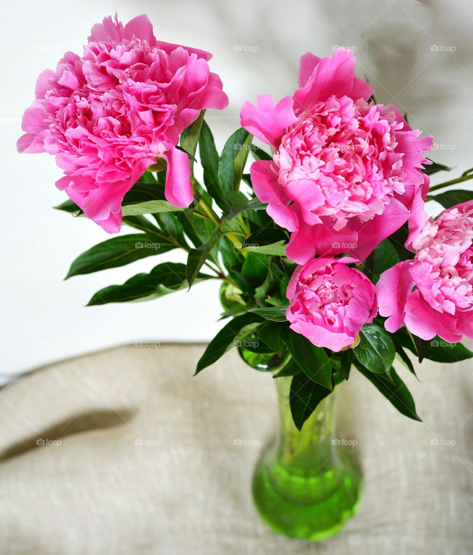 pink flowers in vase