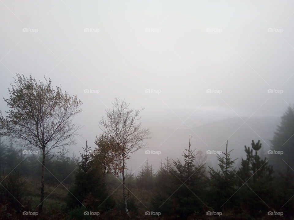 Herbst in Schwarzwald