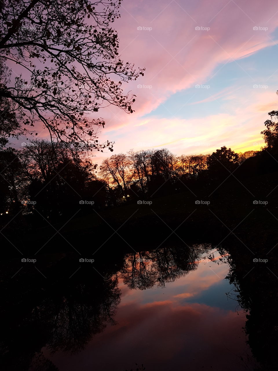 Captivating sunset, showing pink fluffy clouds against a bright blue sky. Reflections in the water with shadows of the trees and shrubbery around. Stunning image showing the beauty of nature.