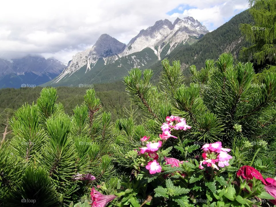 tyrol