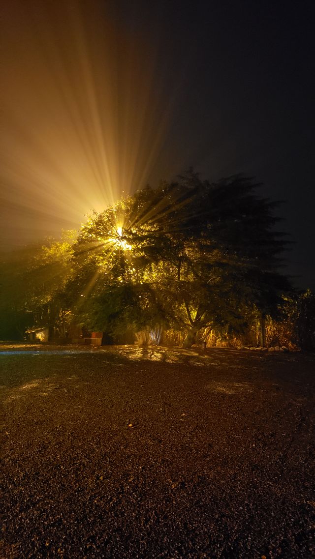 light