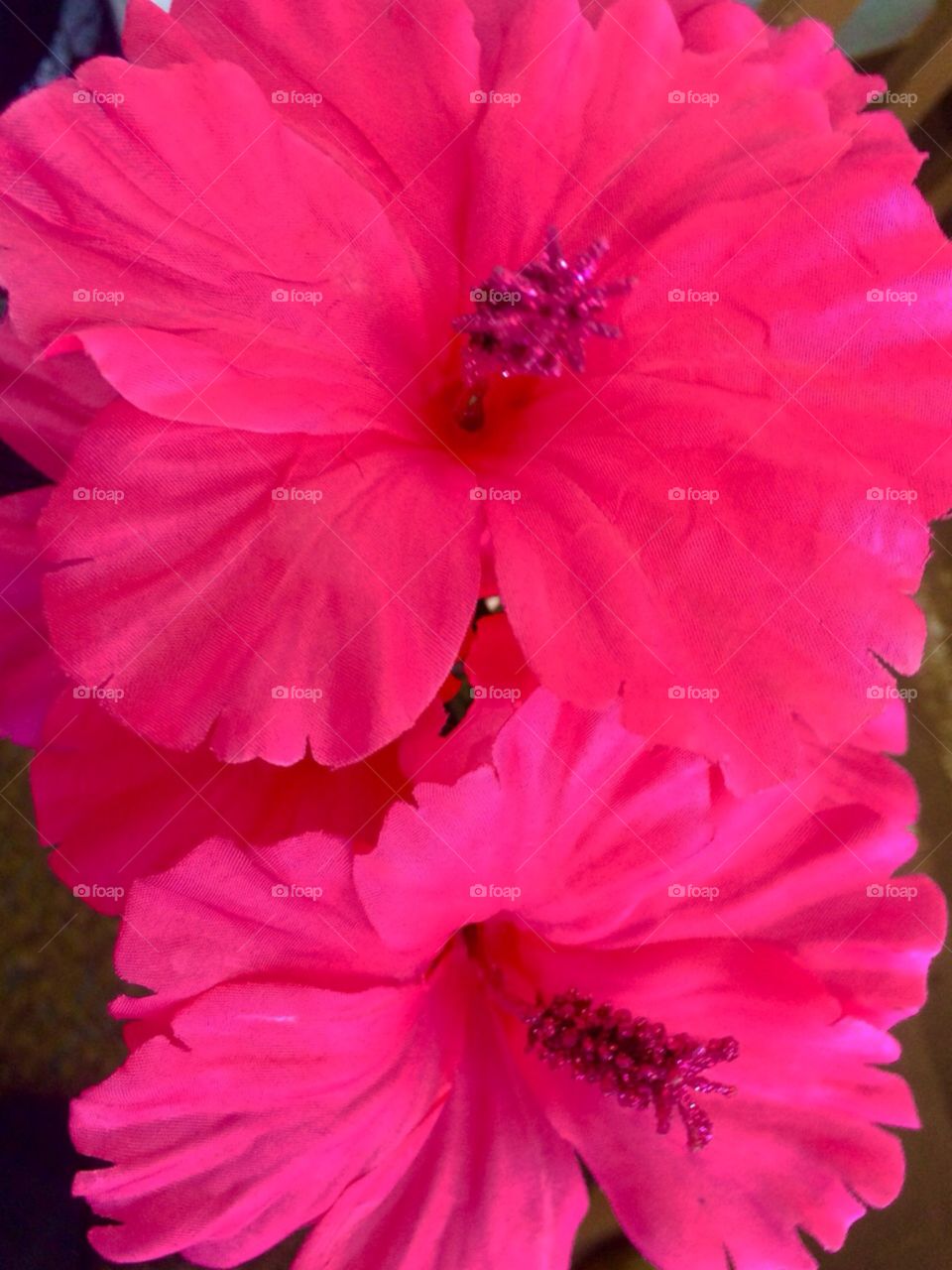 Pretty pink flowers 