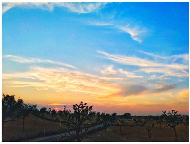 sunset