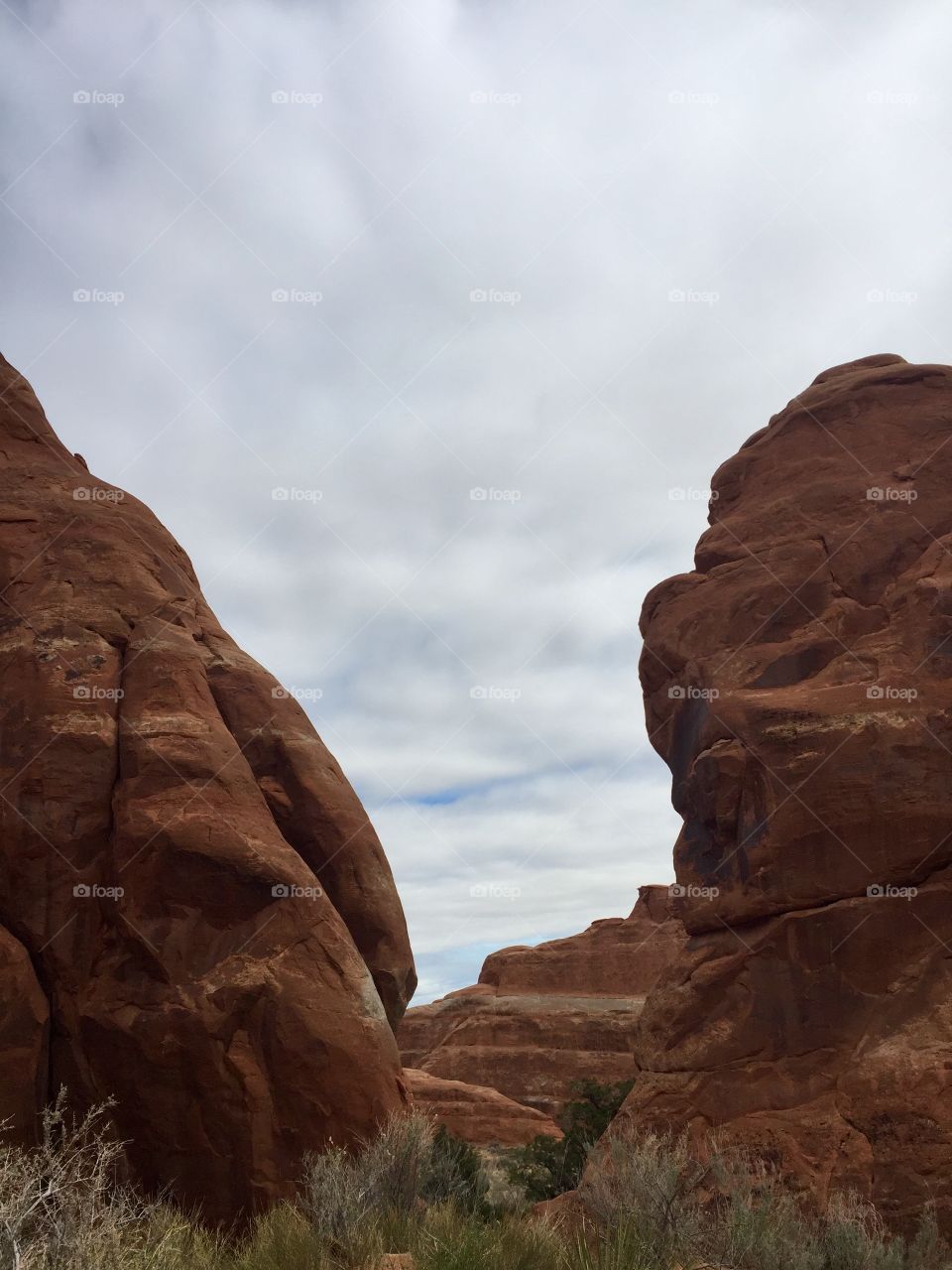 Rock formations in the desert