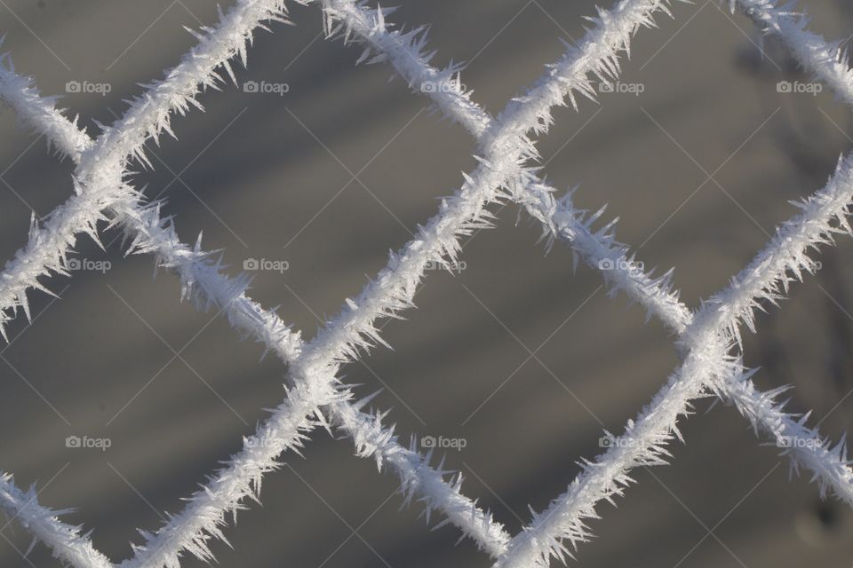 Frozen chain link fence