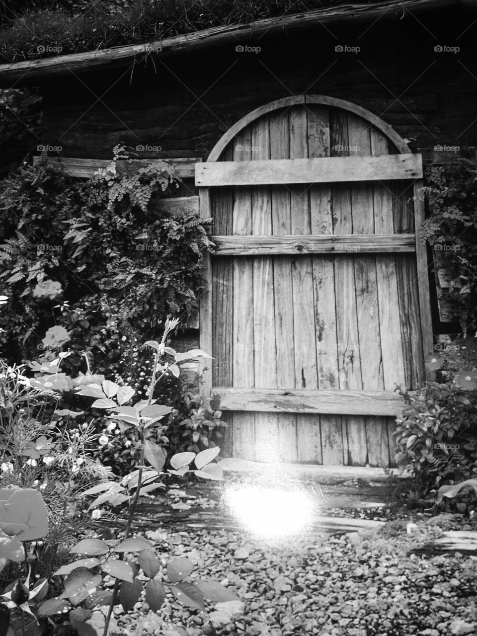 Outdoors. Mysterious. Black and white.