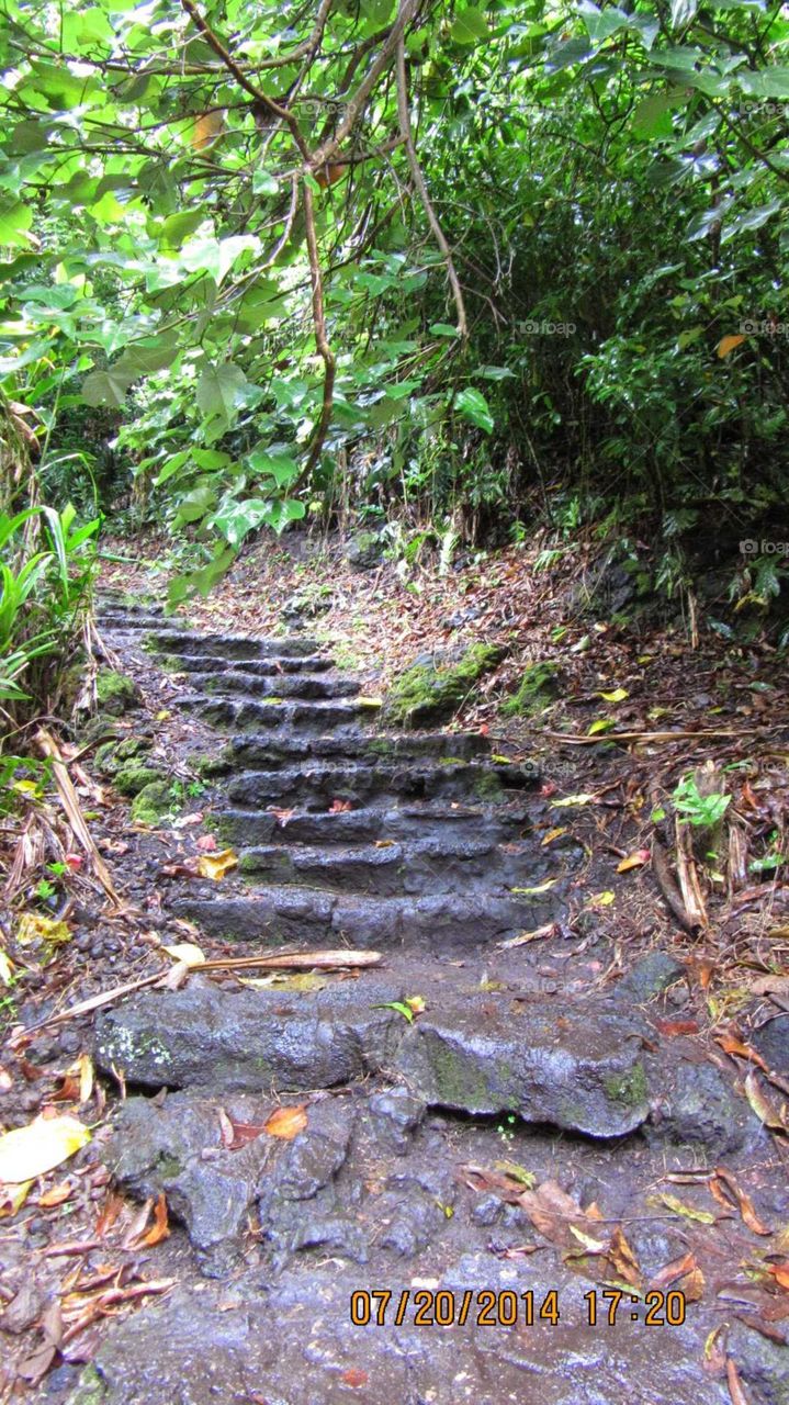 Maui steps