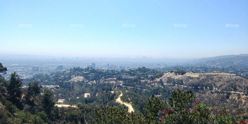 View Of LA