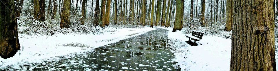 Wintery walk