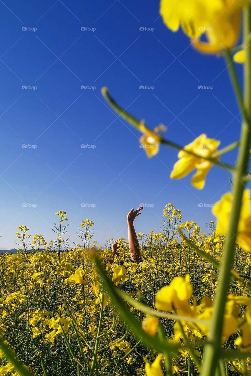 Battle summer vs spring mission