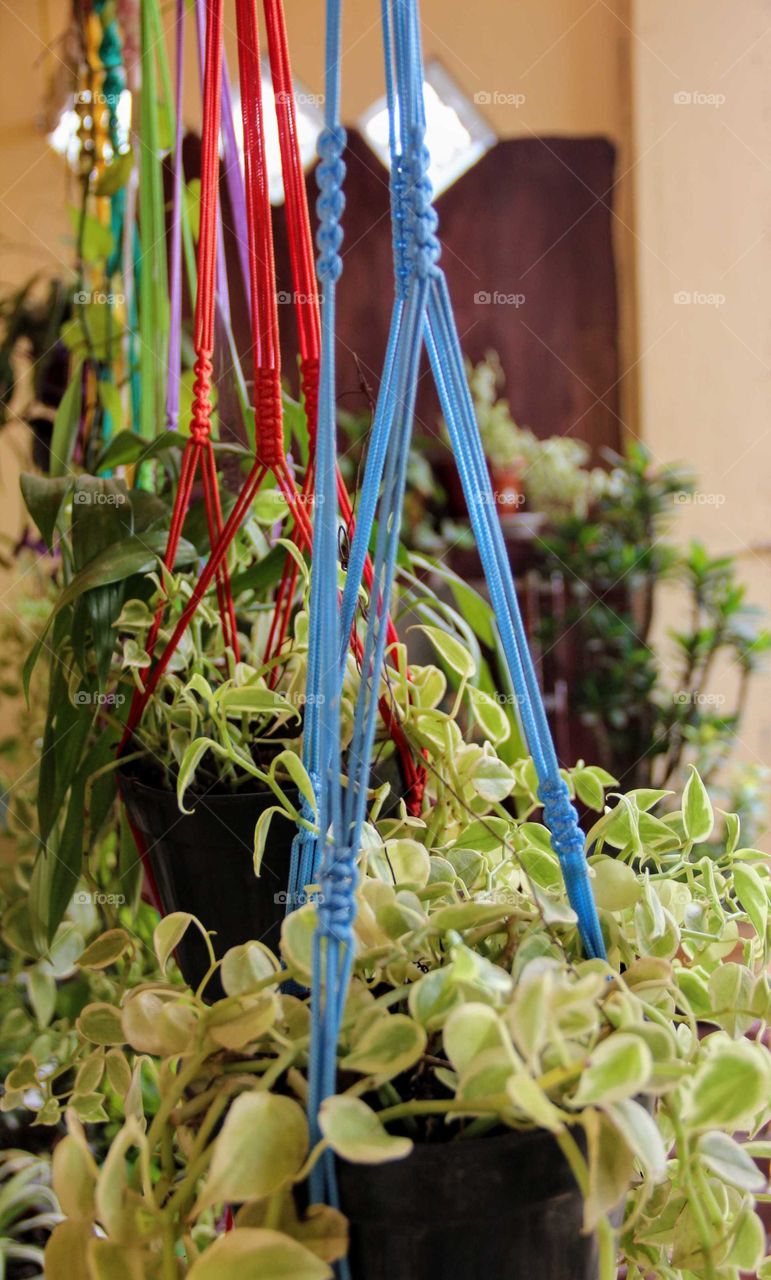 Hanging flowers posts