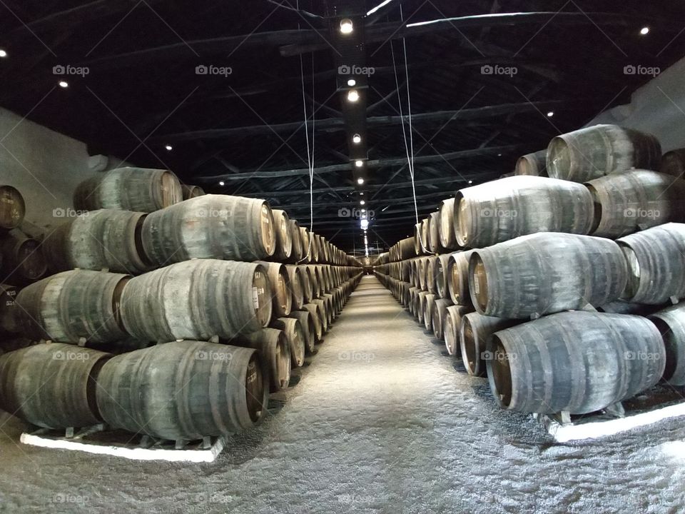 Wine Barrels in winery