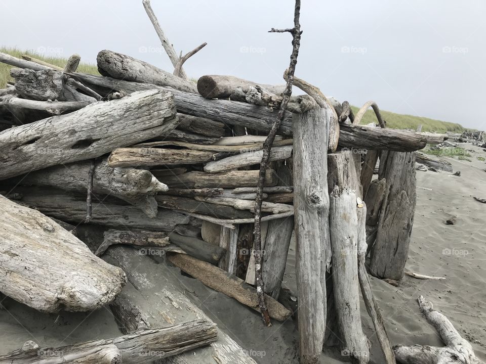 Driftwood 