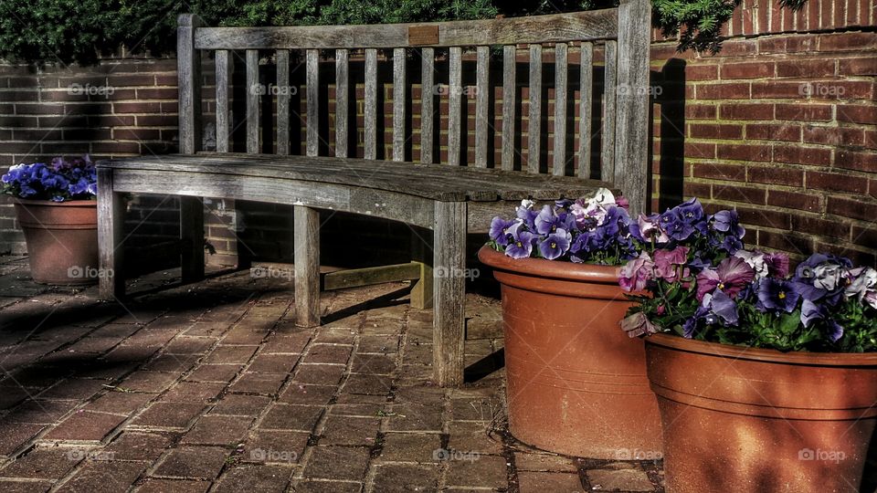 Garden Bench