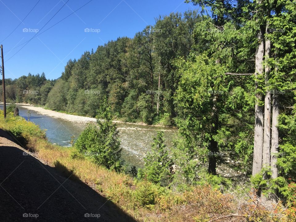 Nature, Tree, Wood, Landscape, No Person