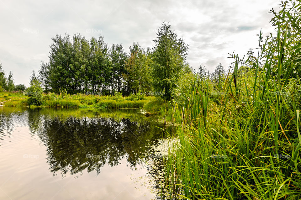 Rural landscape with reflection