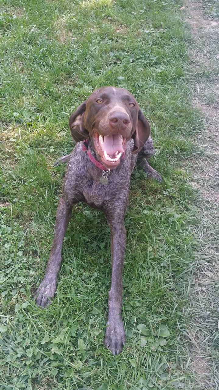 Smiley Pointer