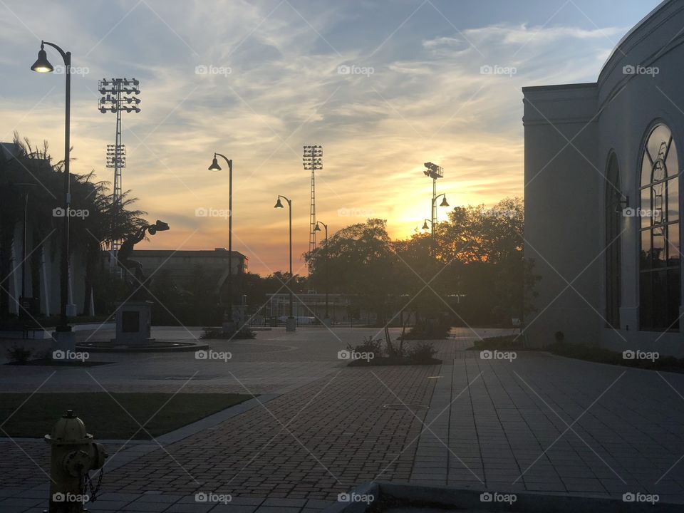 Sunset on LSU Campus