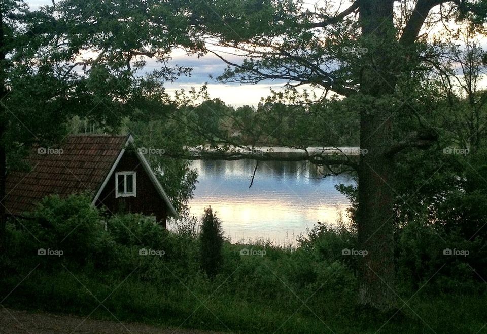 A peaceful evening in the country