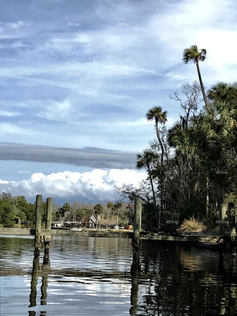 The three tall palm trees overlooking a dock in the river 