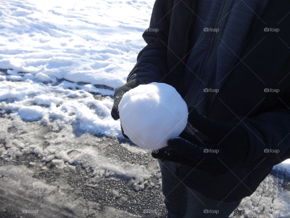 Snow Ball