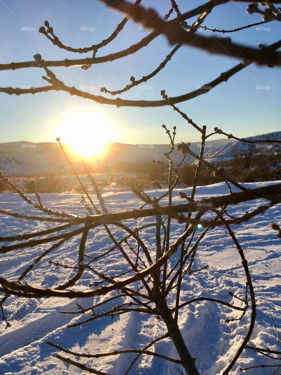 Sunset in winter 