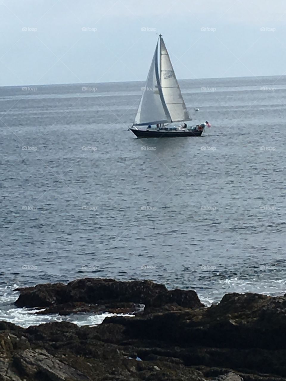 Sailboat 