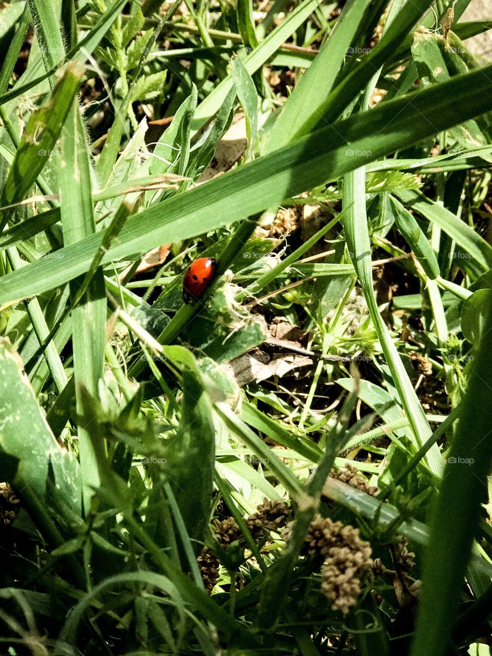 Finding joy in the smaller things!