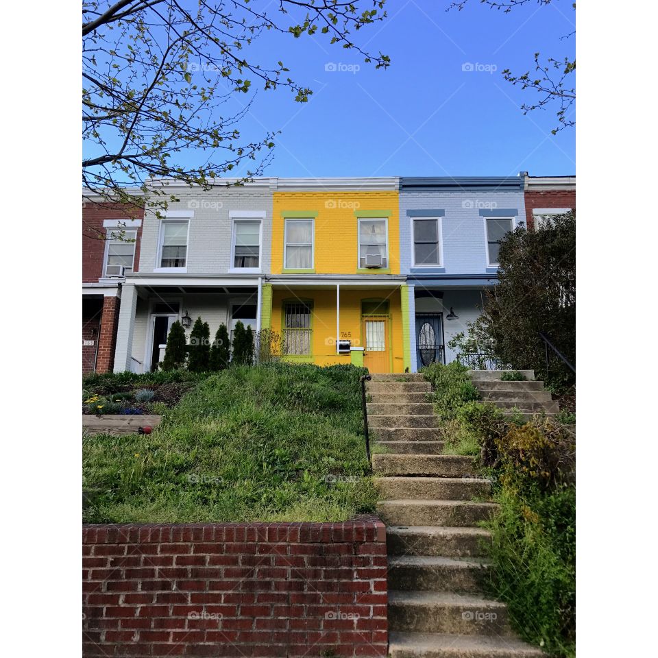 Standout unique house yellow block rowhome 