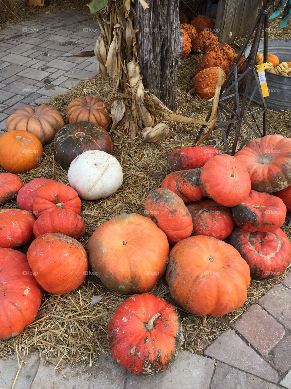 Pumpkins
