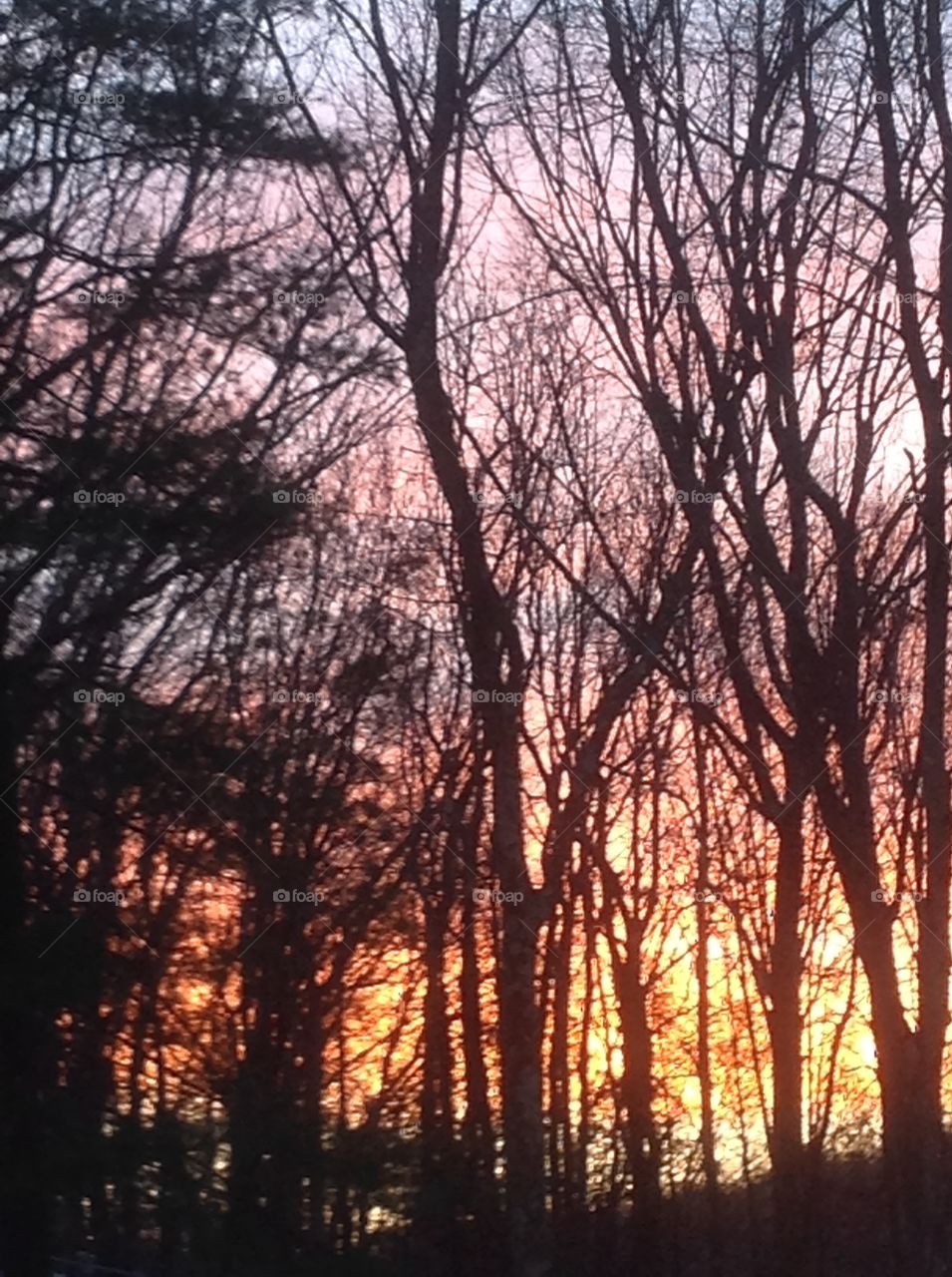 Beautiful pink sunset in New York, 