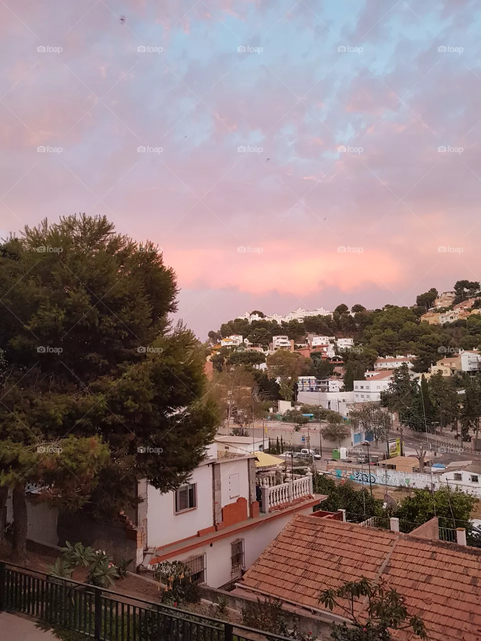 landscape