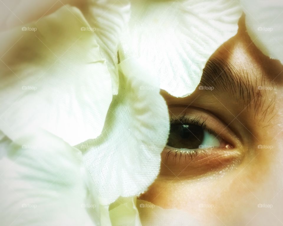 Eyes in flowers