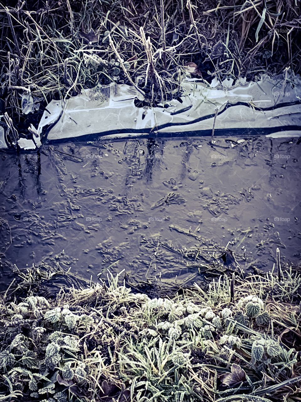 Icy brook 