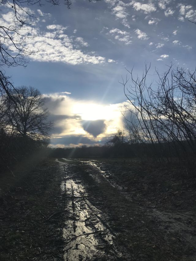 Heart in sky