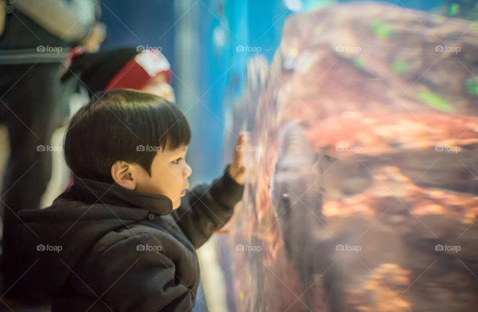 Japanese children studying fish tank