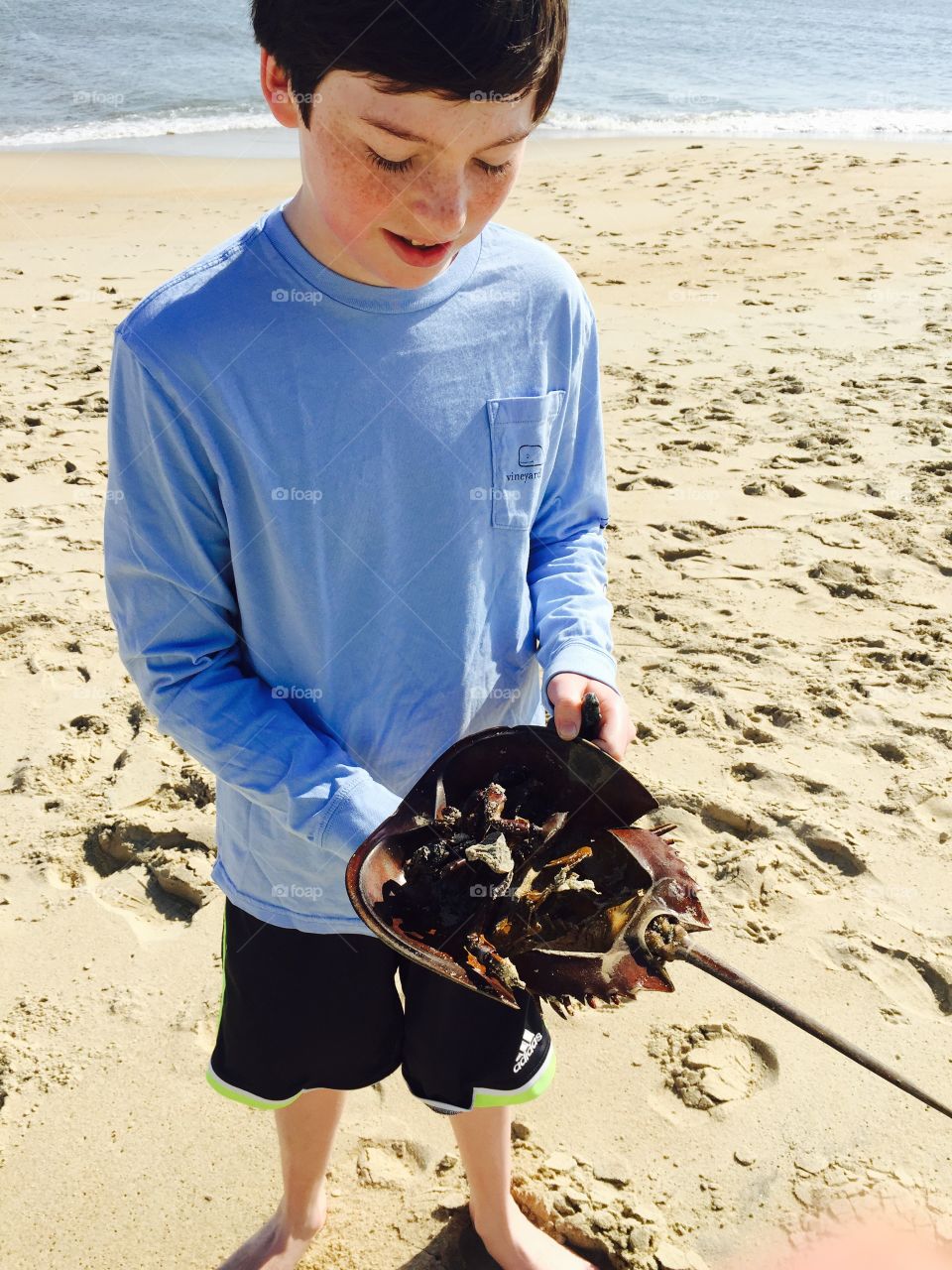Boy finds crab shell on beach