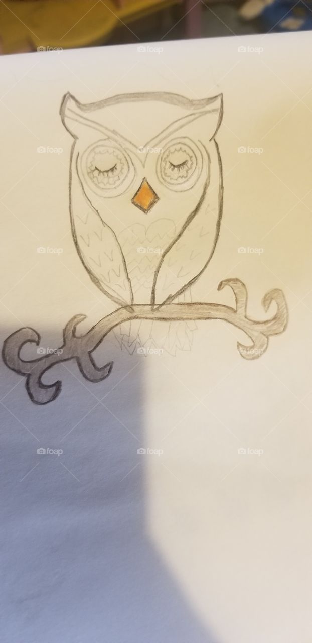 Owl, not finished