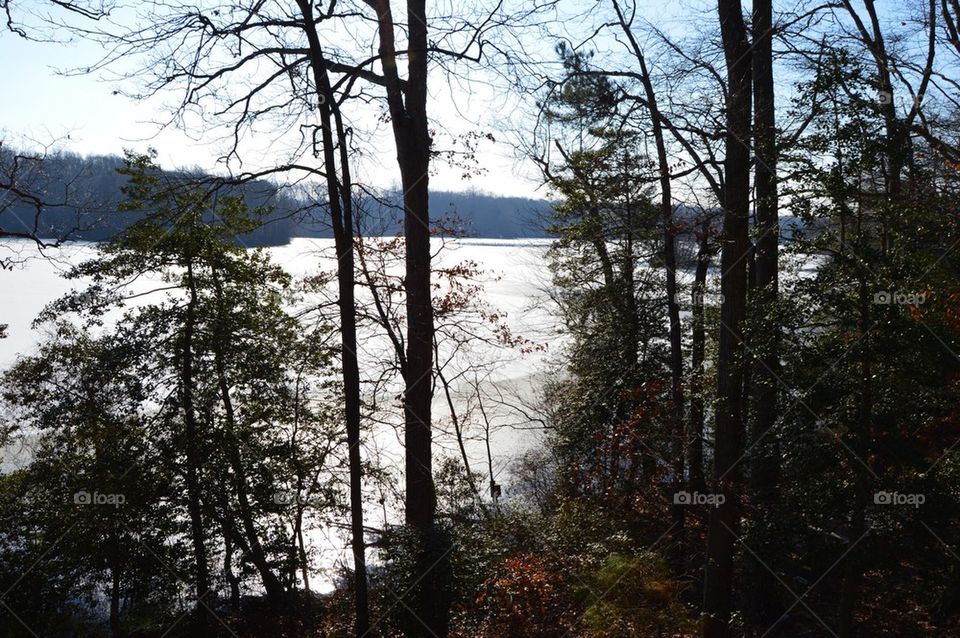 Snow on Killens pond