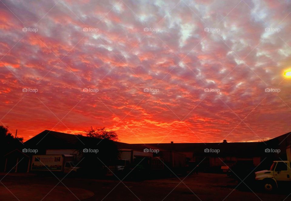 Fiery Sunrise Clouds in Central Florida