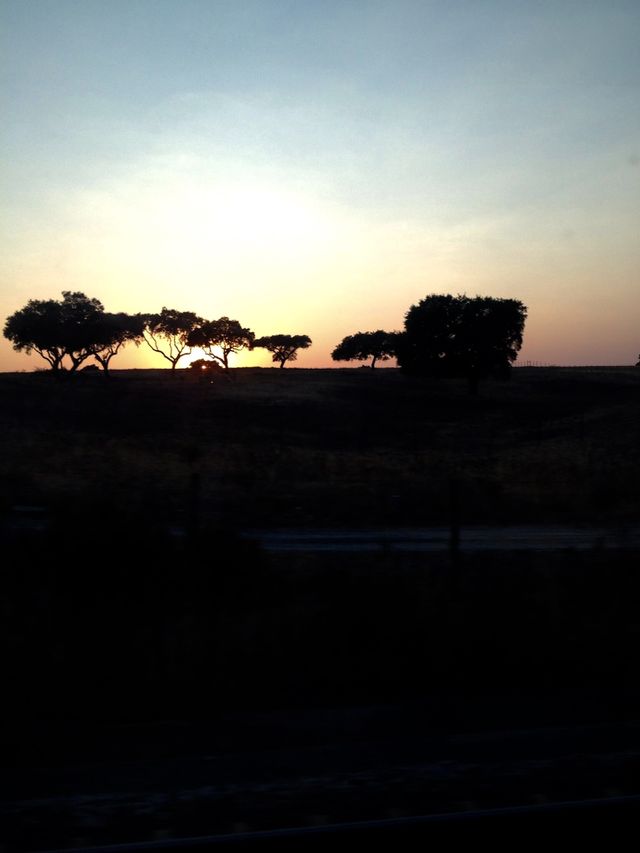 Country side sunset