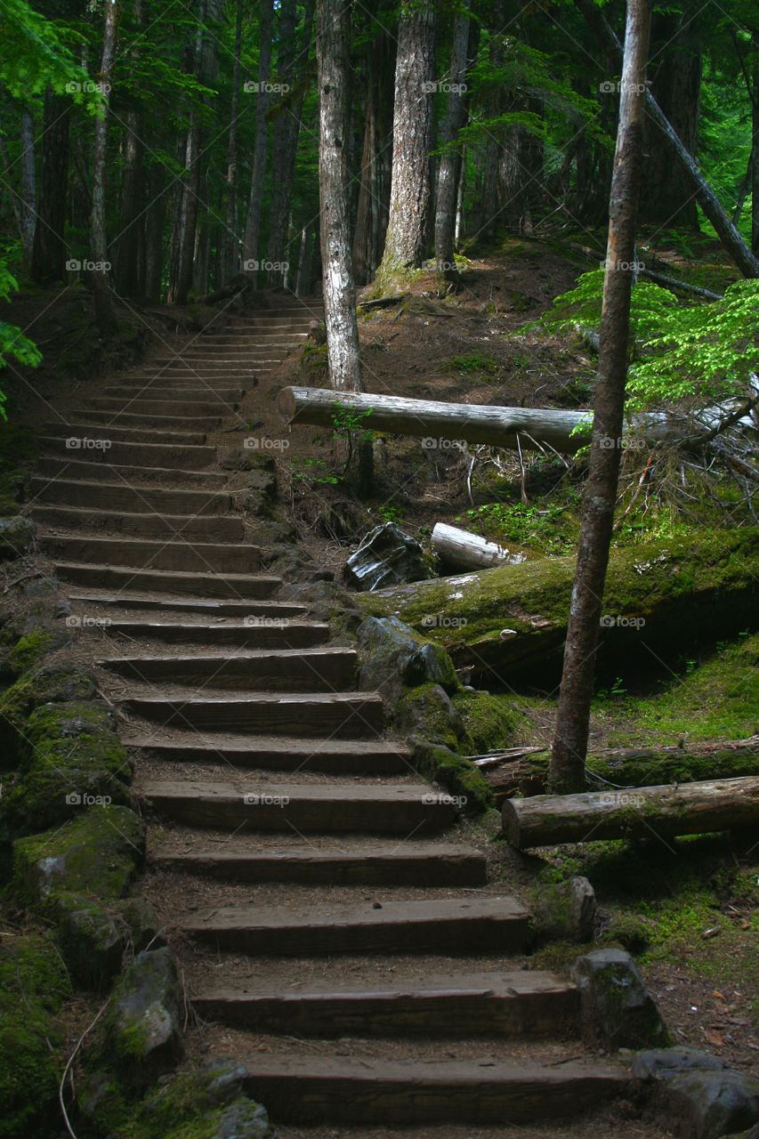 sahalie falls trail head steps