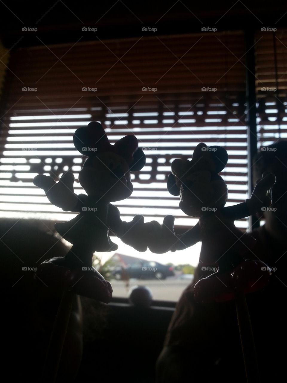 Shadows with Smiles. We found the other Minnie we thought we lost