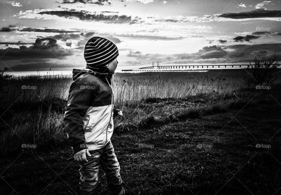 Boy looking at Öresundsbron 
