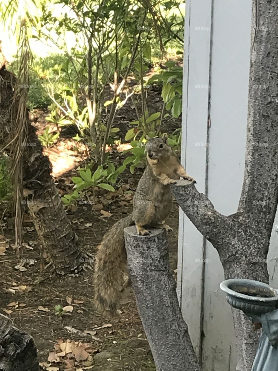 Dinner is served 