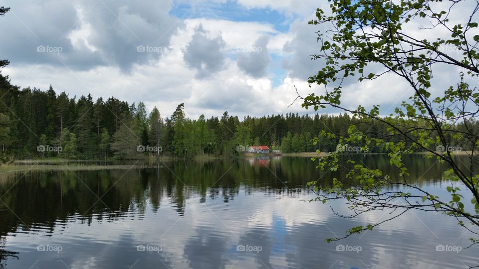 Water view reflection.