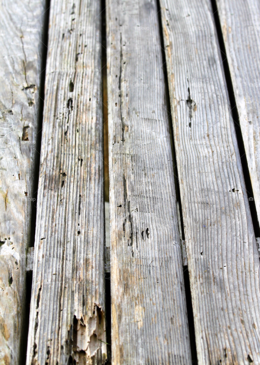 nature closeup background pattern by hlehnerer